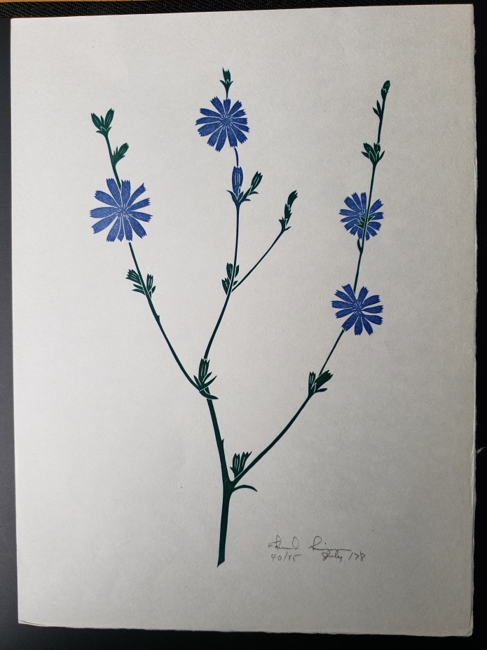 Linoleum Block Print of a Northern California Plant or Flower: Untitled.  Signed and Numbered by Dr. Edmund E. Simpson.