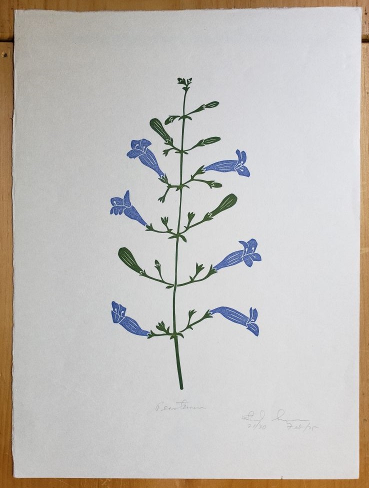 Linoleum Block Print of a Northern California Plant or Flower: Untitled.  Signed and Numbered by Dr. Edmund E. Simpson.